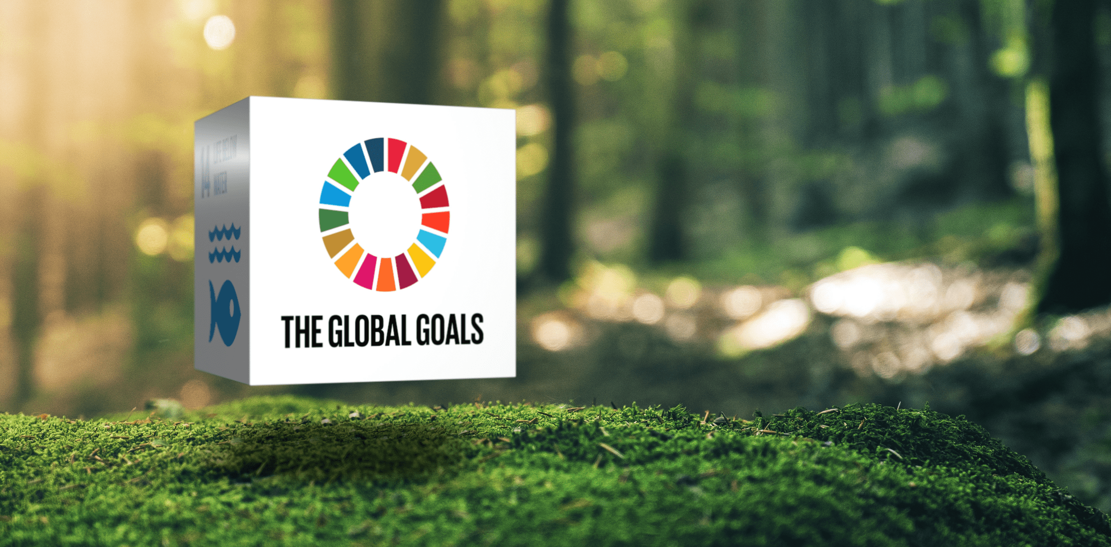 CRE最前線！SDGsに対する企業の取り組みとCRE戦略