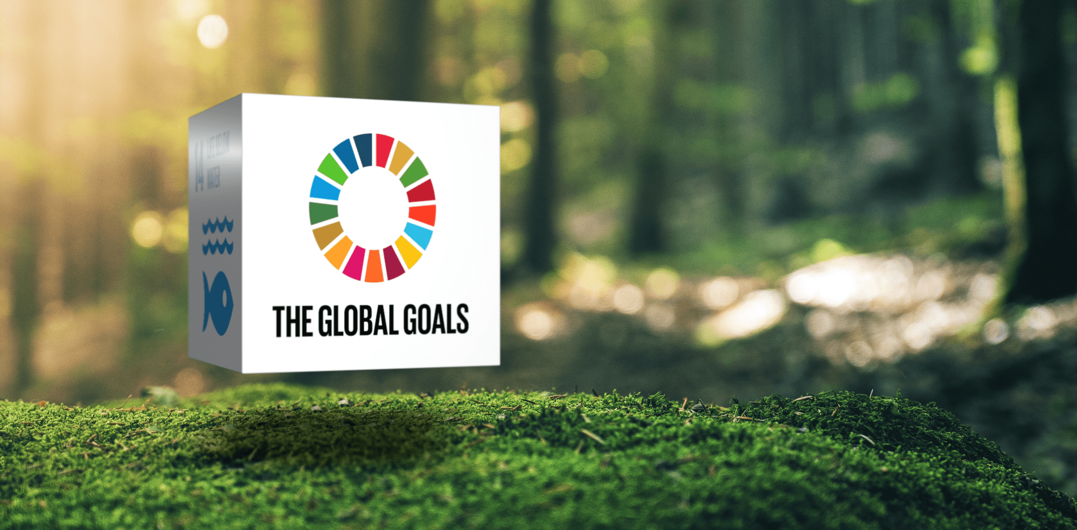 CRE最前線!SDGsに対する企業の取り組みとCRE戦略