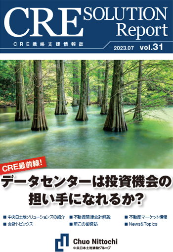 CRE SOLUTION Report